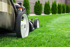 Acorn Landscaping provides landscaping services like lawn cutting